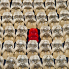 Ein rotes Gummibärchen sticht aus einer Menge weißer Gummibärchen heraus.
