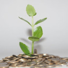 Venture Capital-Finanzierung