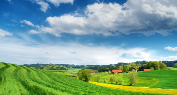 Eine idyllische Landschaft