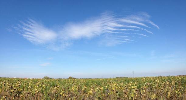 Wolken in Flügelform