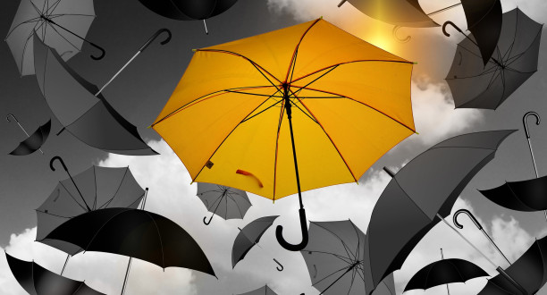 Regenschirm