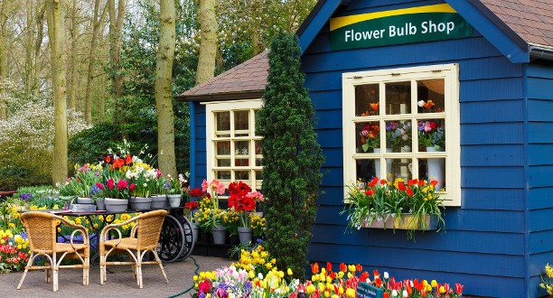Aufnahme von einem kleinen Blumenladen