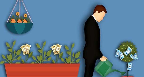 Mann gießt einen Baum, an dem Geld wächst.