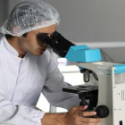 Ein Wissenschaftler schaut durch ein Mikroskop