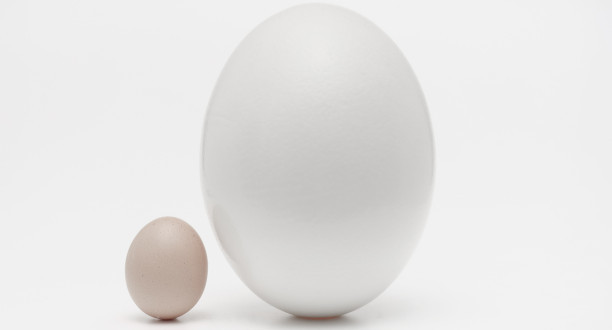 Großes und kleines Ei