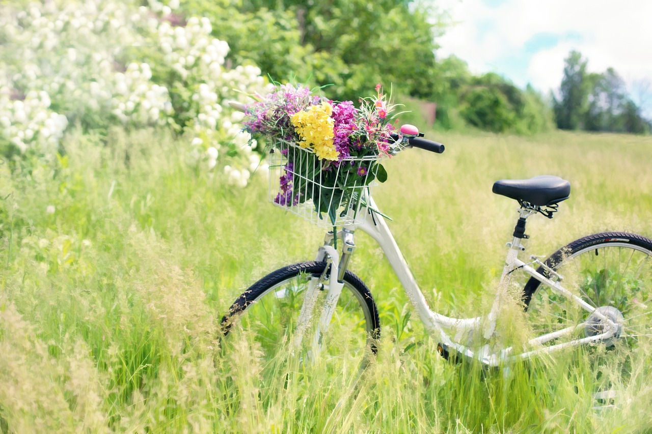 bicycle 788733 1280 20250428 201922