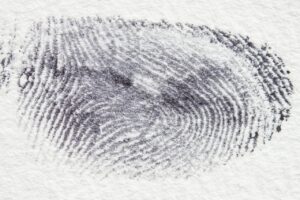 fingerprint 255900 1280 20250428 201913