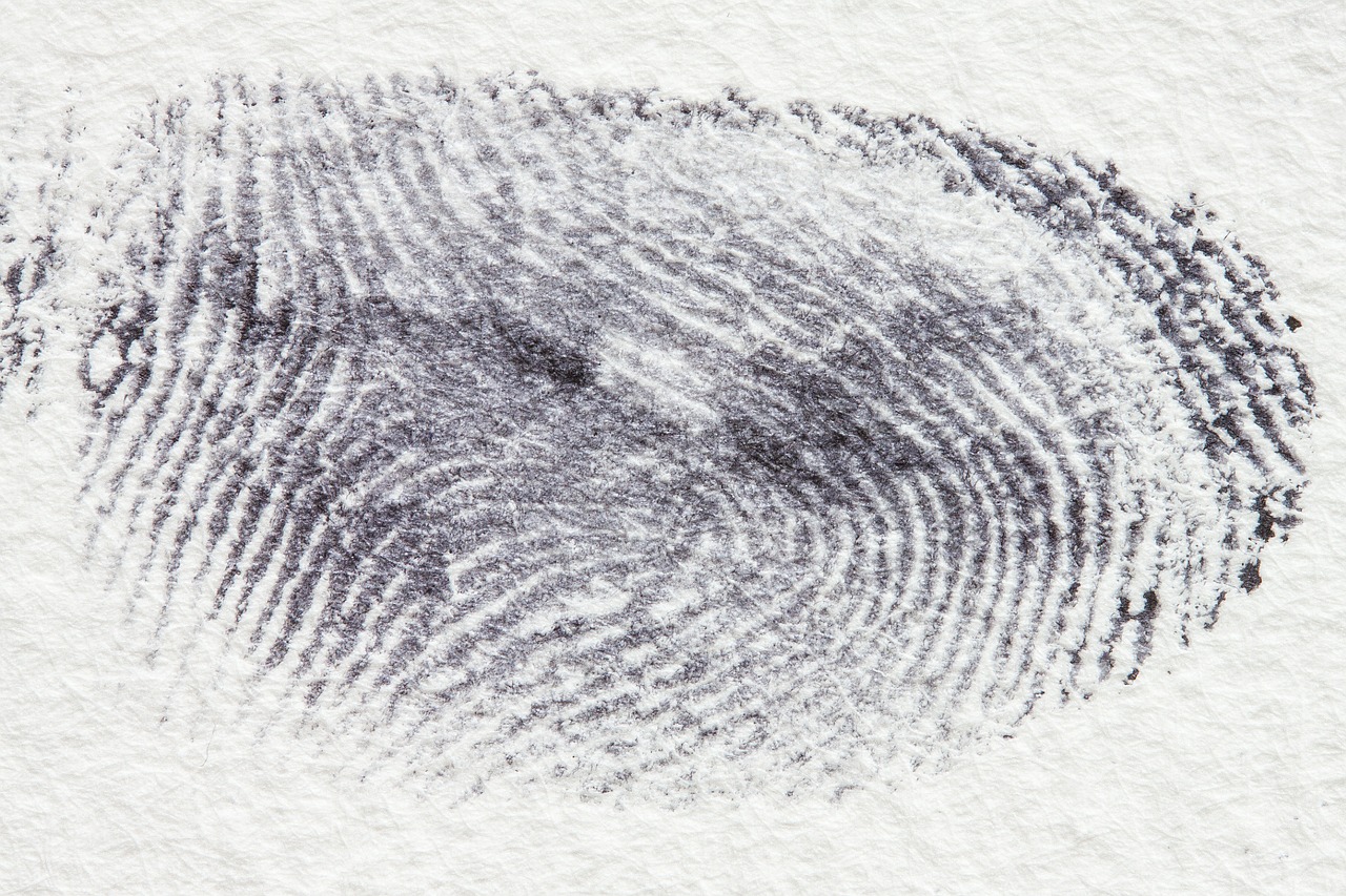 fingerprint 255900 1280 20250428 201913
