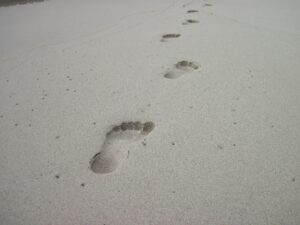 footprints 541177 1920 20250428 202844