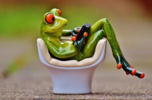 frog 1234544 1280 20250428 203148