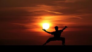 fu 3624167 1920 kung fu meister 20250428 203228