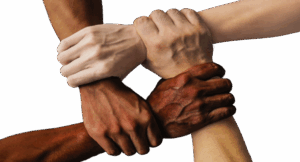 hands 1917895 1920 1 1 20250428 201552