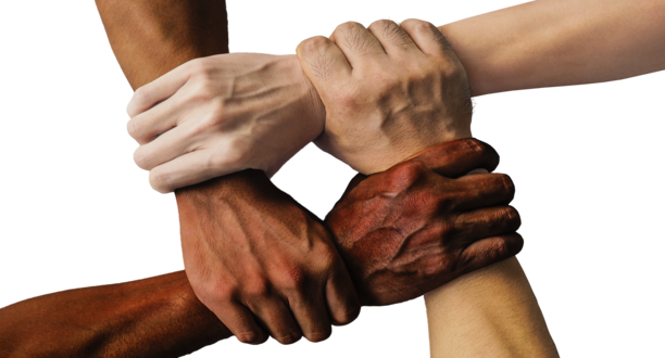 hands 1917895 1920 1 1 20250428 201552