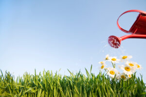 iStock 000006457135Small 20250428 201444