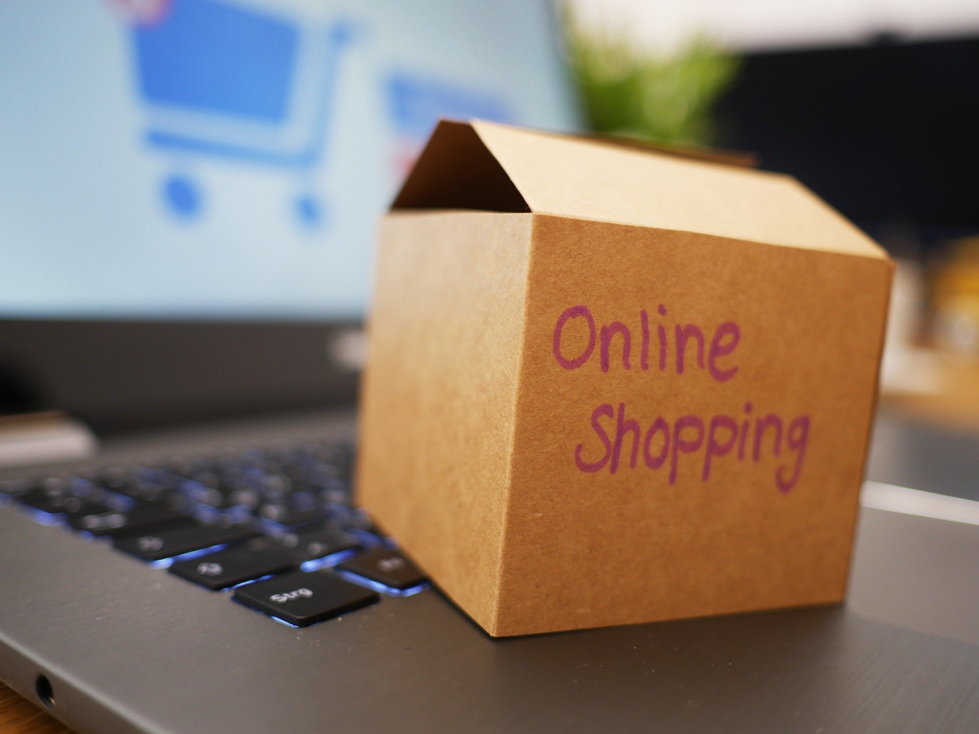 Paket mit Aufschrift Online-Shopping