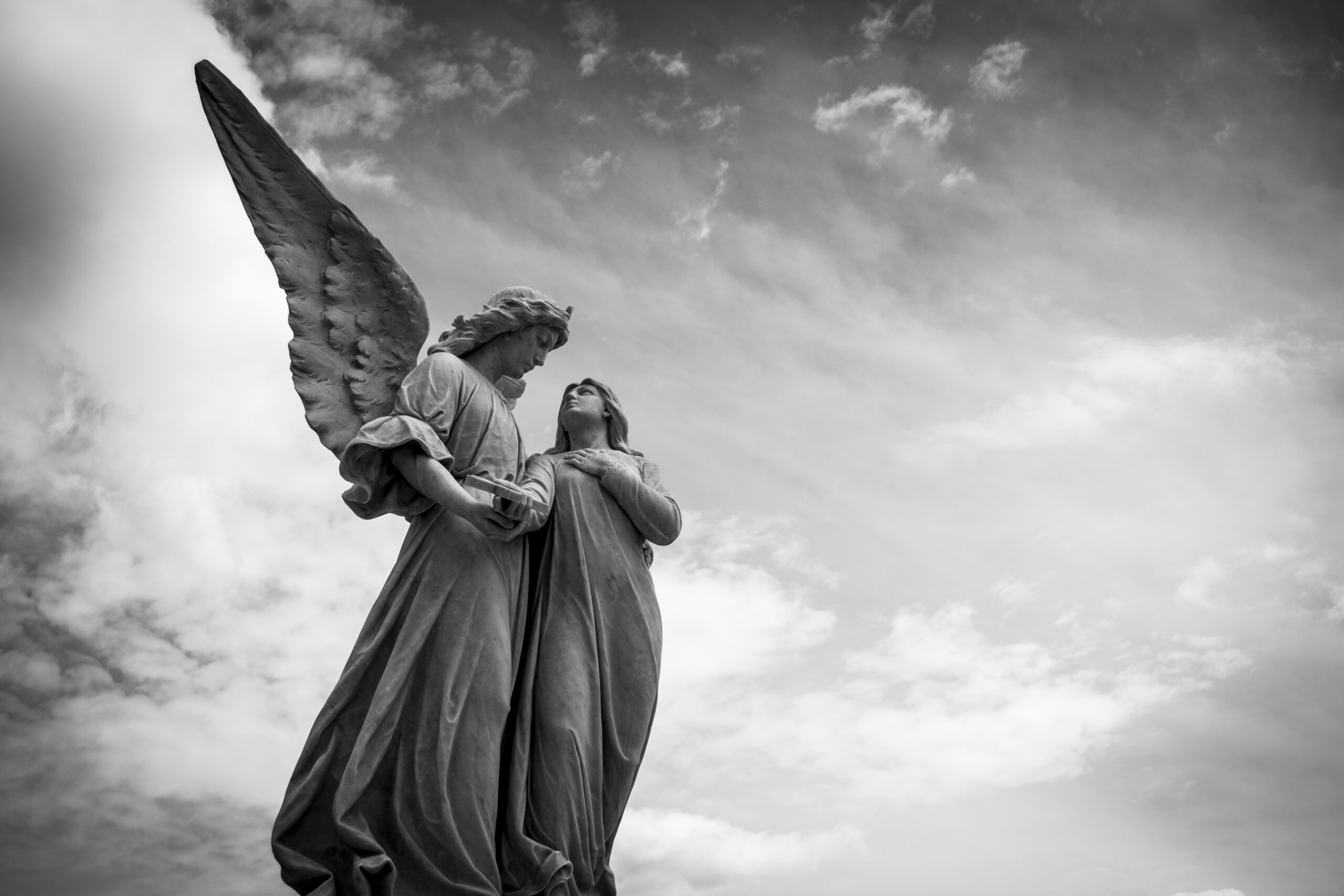 pexels pixabay 208001 scaled 1 20250428 210326