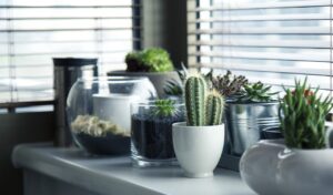 pots 716579 1280 20250428 202100