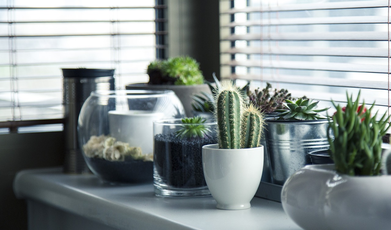 pots 716579 1280 20250428 202100