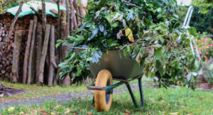 wheelbarrows g5bd12d641 612 20250428 204915