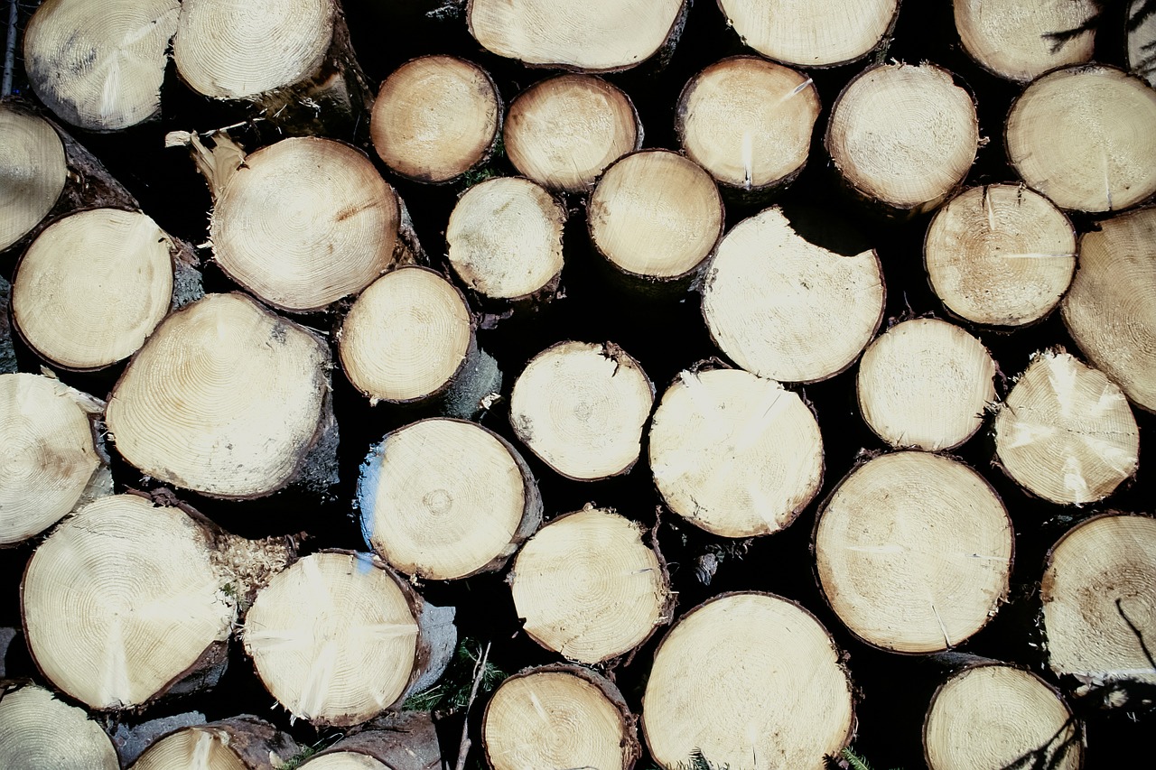 wood 599498 1280 20250428 201915