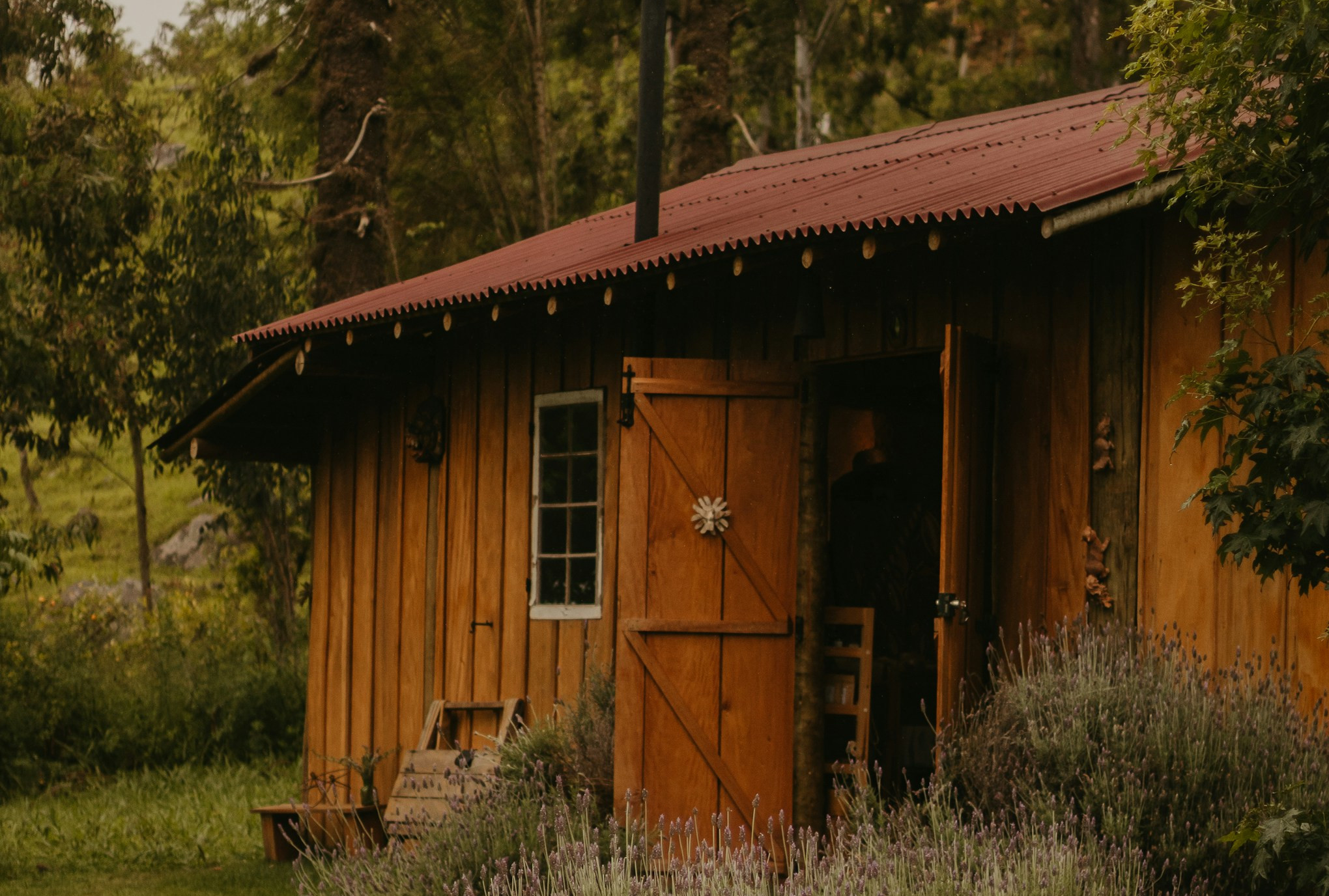 Hütte im Wald